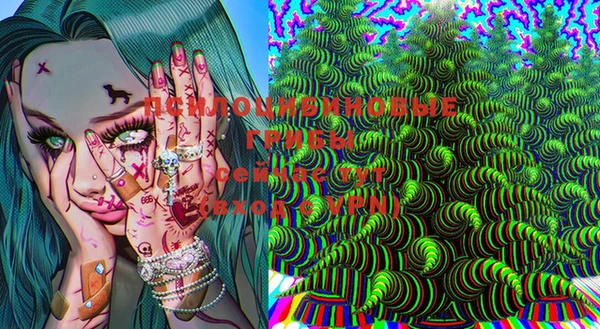 МДПВ Алзамай
