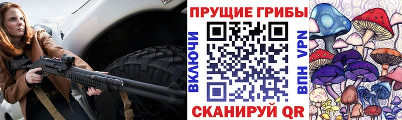 как найти   Москва  Псилоцибиновые грибы Psilocybe 