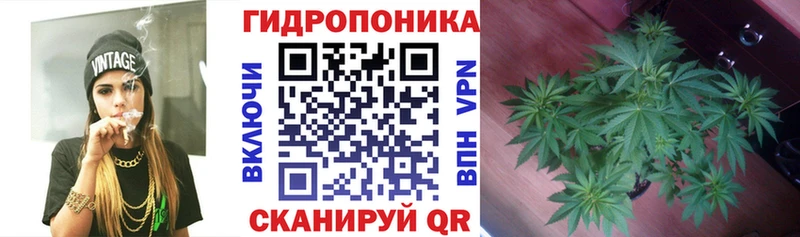 Шишки марихуана гибрид  наркотики  Москва 